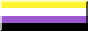 the nonbinary pride flag